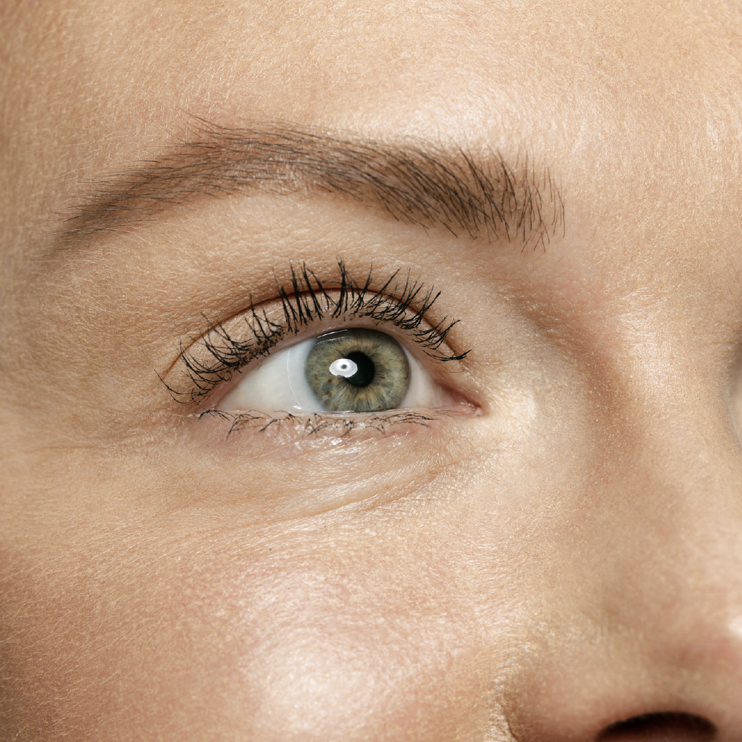 Lashfactor Anti-Wrinkle Serum (Proprietary Tripeptide Formula) 15g